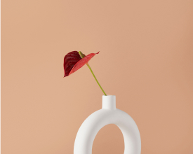 feature post